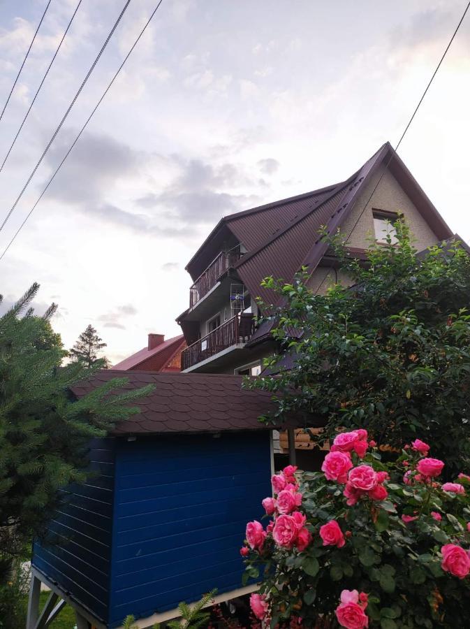 Vila Majkowiczowka Czorsztyn Exteriér fotografie