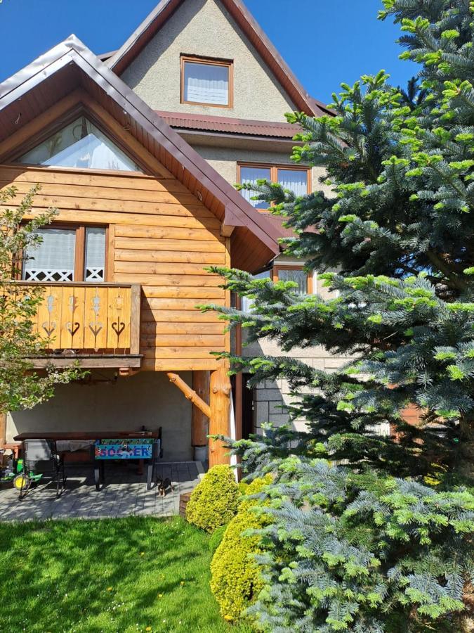Vila Majkowiczowka Czorsztyn Exteriér fotografie